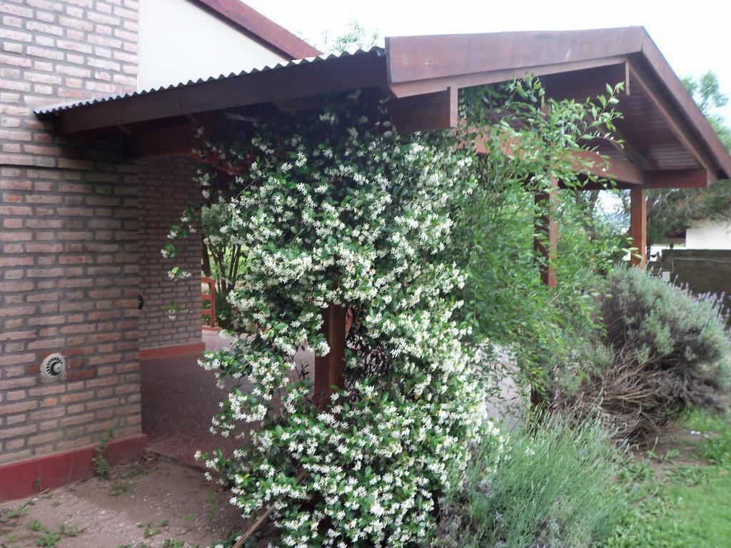 Cabanas El Dominador La Falda Exteriér fotografie